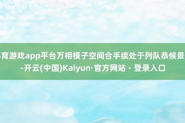 体育游戏app平台万相模子空间合手续处于列队恭候景色-开云(中国)Kaiyun·官方网站 - 登录入口