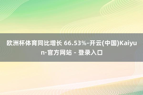 欧洲杯体育同比增长 66.53%-开云(中国)Kaiyun·官方网站 - 登录入口