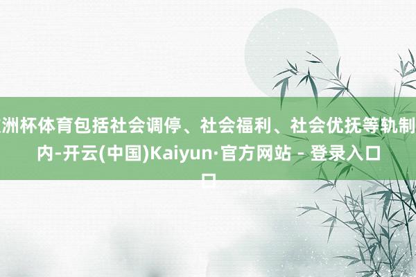 欧洲杯体育包括社会调停、社会福利、社会优抚等轨制在内-开云(中国)Kaiyun·官方网站 - 登录入口
