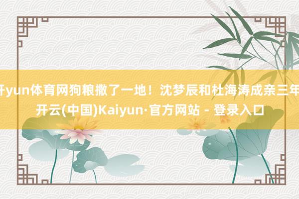 开yun体育网狗粮撒了一地！沈梦辰和杜海涛成亲三年-开云(中国)Kaiyun·官方网站 - 登录入口
