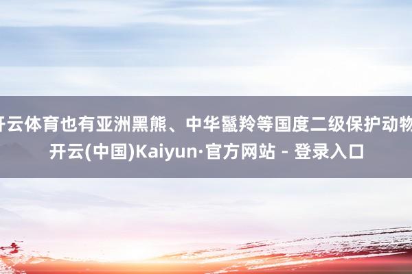 开云体育也有亚洲黑熊、中华鬣羚等国度二级保护动物-开云(中国)Kaiyun·官方网站 - 登录入口