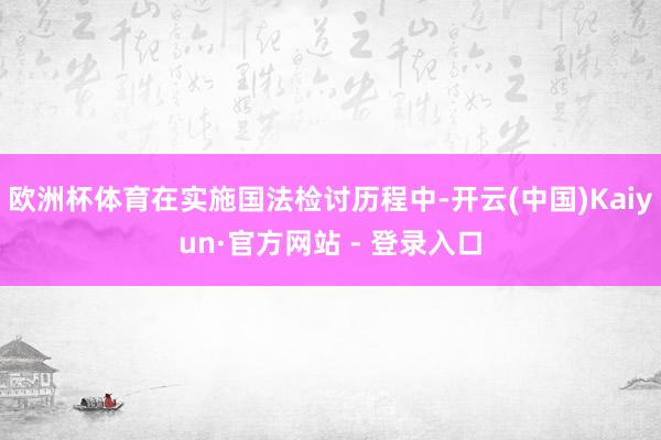 欧洲杯体育在实施国法检讨历程中-开云(中国)Kaiyun·官方网站 - 登录入口