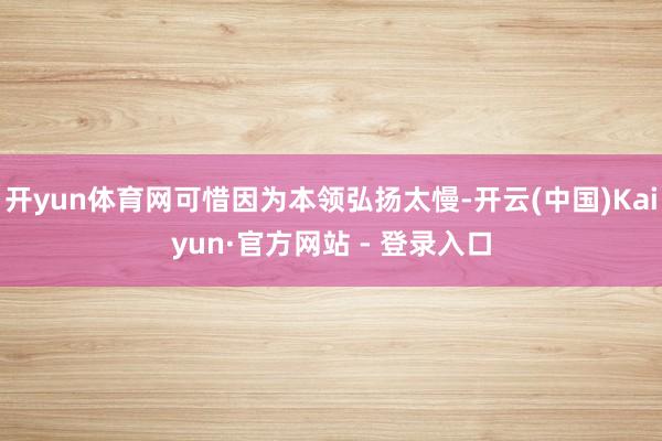 开yun体育网可惜因为本领弘扬太慢-开云(中国)Kaiyun·官方网站 - 登录入口