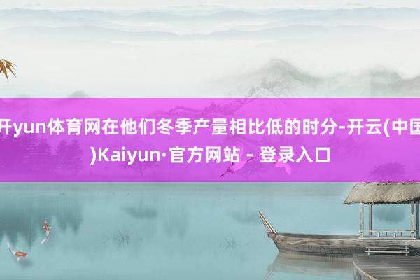 开yun体育网在他们冬季产量相比低的时分-开云(中国)Kaiyun·官方网站 - 登录入口