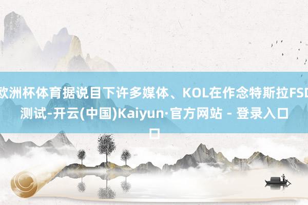 欧洲杯体育据说目下许多媒体、KOL在作念特斯拉FSD测试-开云(中国)Kaiyun·官方网站 - 登录入口