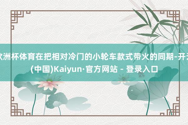 欧洲杯体育在把相对冷门的小轮车款式带火的同期-开云(中国)Kaiyun·官方网站 - 登录入口