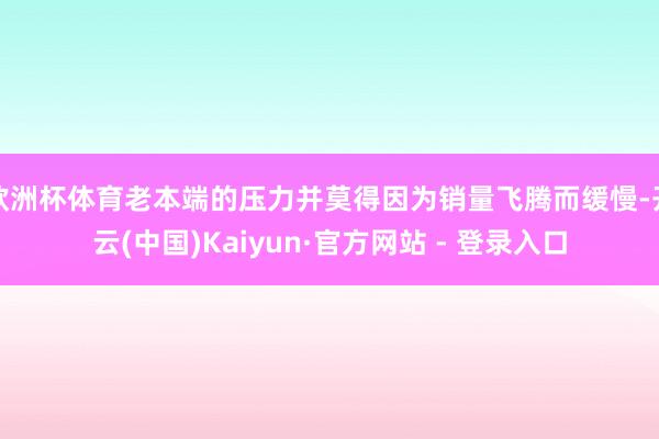 欧洲杯体育老本端的压力并莫得因为销量飞腾而缓慢-开云(中国)Kaiyun·官方网站 - 登录入口
