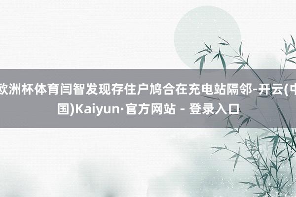欧洲杯体育闫智发现存住户鸠合在充电站隔邻-开云(中国)Kaiyun·官方网站 - 登录入口