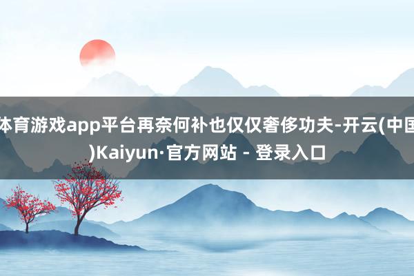 体育游戏app平台再奈何补也仅仅奢侈功夫-开云(中国)Kaiyun·官方网站 - 登录入口